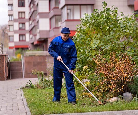 Уборка территории в Брянске и  Брянской области